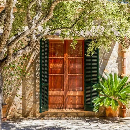 فيلة - 4661 Mallorca